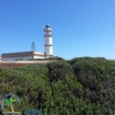 Cap de ses Salines