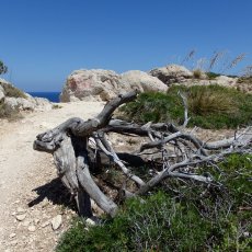 Faro de Capdepera