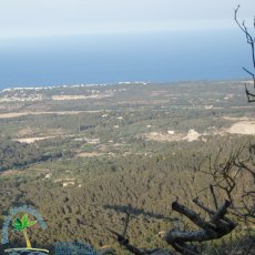 Puig de Sant Salvador