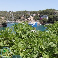 Cala Figuera