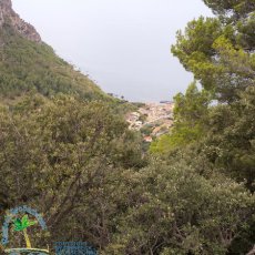 Port de Valldemossa